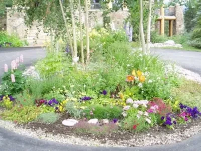 Thetford Landscaping & Irrigation - Drought-Resistant Lawn Installation in Breckenridge, CO