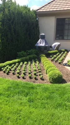 Seasonal Planting — Landscape Construction project by Three Trails LLC in Overland Park