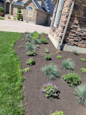 Thrive Landscape Services - Outdoor Lighting Installation in Sandy, UT