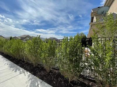 Thrive Landscape Services - Outdoor Lighting Installation in Sandy, UT