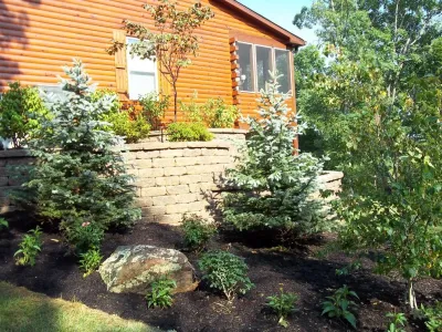 Timberline Landscapes, LLC - Landscape Maintenance in Webster Groves, MO