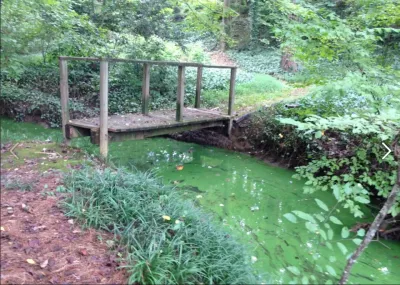 TLC Landscape Group - Tree & Shrub Care in Tucker, GA