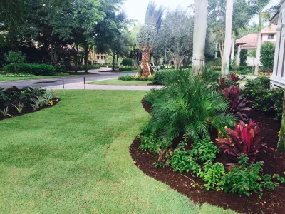 TLC LAWN / Creativescapes Landscaping LLC - Lawn Edging & Trimming in Naples, FL