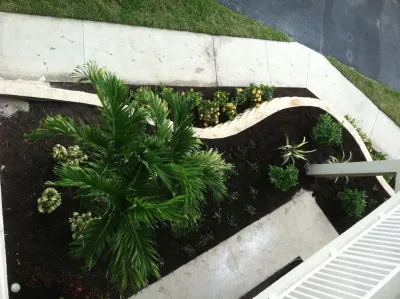 TLC LAWN / Creativescapes Landscaping LLC - Lawn Edging & Trimming in Naples, FL