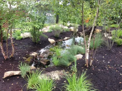 Toadflax Nursery - Garden Remodeling in South Glens Falls, NY