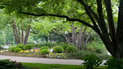 Tommy Pollina Landscape Company Inc. - Tree & Shrub Care in Mt. Prospect, IL