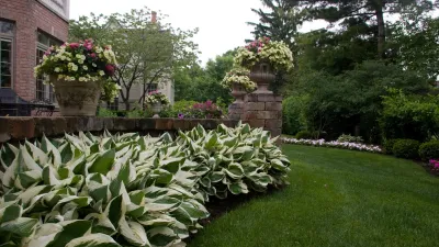 Tommy Pollina Landscape Company Inc. - Tree & Shrub Care in Mt. Prospect, IL
