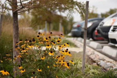 Topeka Landscape, Inc. - Irrigation System Repair in Topeka, KS