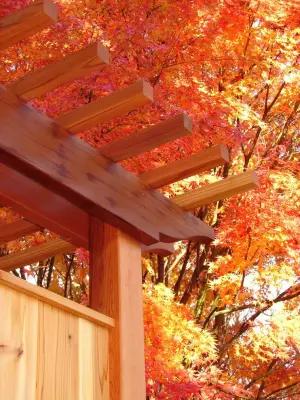 Al Fresco Shower — Architectural & Building Design Services project by Proctor Architects, LLC