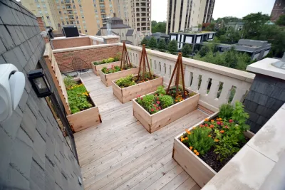 Topiarius, Inc - Landscape Construction in Chicago, IL