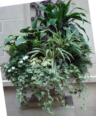 Topiarius, Inc - Landscape Construction in Chicago, IL