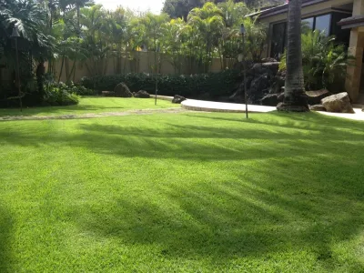 Total Landscape Management - Outdoor Lighting Installation in Honolulu, HI