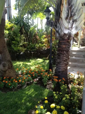 Total Landscape Management - Outdoor Lighting Installation in Honolulu, HI