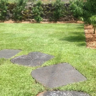 Sample Projects by Total Landscape Management