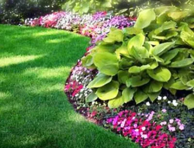 Total Landscape Management - Outdoor Lighting Installation in Honolulu, HI
