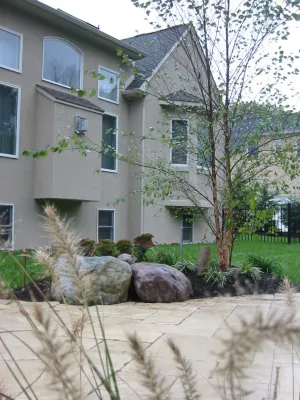 Natural Products — Landscape Construction project by TotalScape Design in Miami