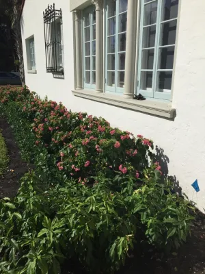 Treasure Coast Irrigation & Rood Landscape, LLC - Irrigation System Repair in Palm Beach, FL