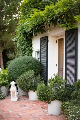 Two Trees Architects, Inc - Architectural & Building Design Services in Ojai, CA