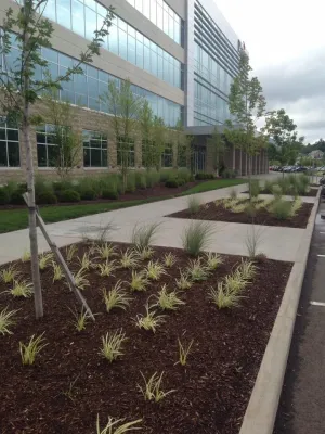 Tree Line Landscape - Landscape Maintenance in Dayton, OH