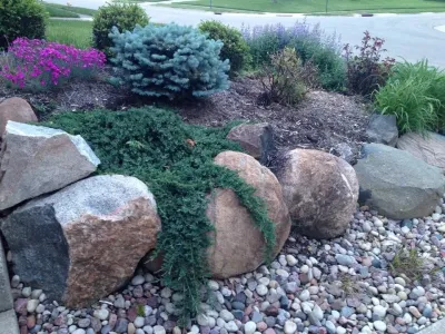 Tree Line Landscape - Landscape Maintenance in Dayton, OH