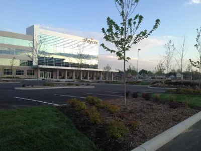 Tree Line Landscape - Landscape Maintenance in Dayton, OH