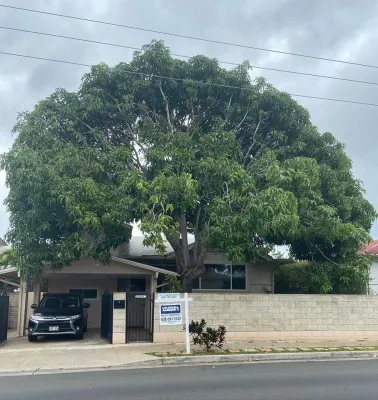 Treescape Hawaii - Land Cleaning in Ewa Beach, HI