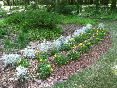 Trey's Lawn Service, LLC - Landscape Maintenance in Macon, GA