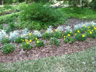 Trey's Lawn Service, LLC - Landscape Maintenance in Macon, GA