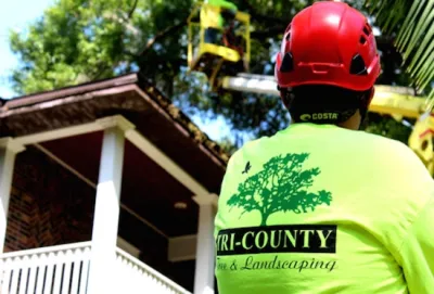 Tri County Landscaping - Seasonal Yard Cleaning in Lutz, FL