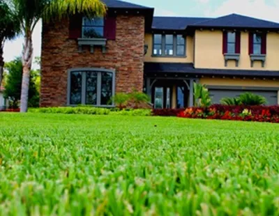 Tri County Landscaping - Seasonal Yard Cleaning in Lutz, FL