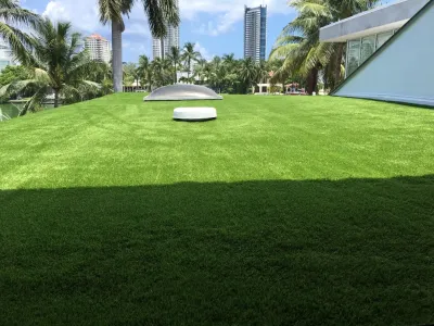 Miami Beach Rooftop — Landscape Construction project by Tropical Turf