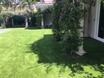 Hollywood Beach Residence — Landscape Construction project by Tropical Turf