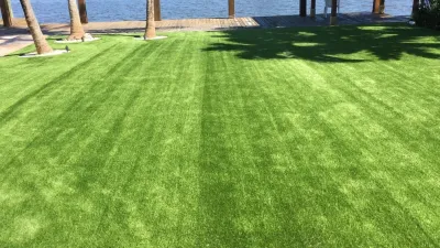 Hollywood intracoastal — Landscape Construction project by Tropical Turf