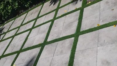 Miami Beach Residence — Landscape Construction project by Tropical Turf