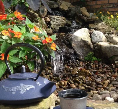 Tropical Water Gardens - Landscape Construction in Deland, FL