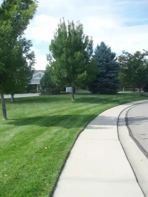 Trust Green Guys - Drip Irrigation System Installation in Longmont, CO