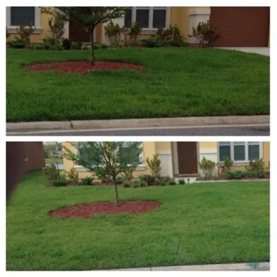 Trutco - Landscape Maintenance in Jacksonville, FL