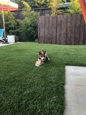 Turf Bros - Landscape Construction in Woodland Hills, CA