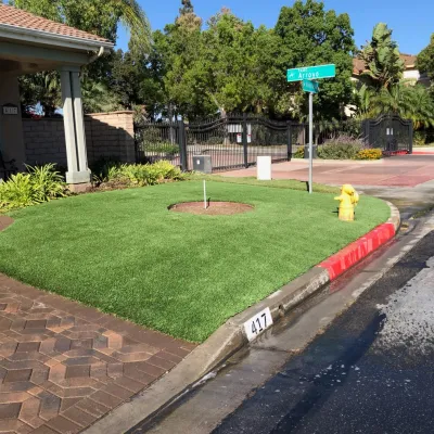 Artificial grass Rincon 80oz — Landscape Construction project by Turf Exchange in Camarillo