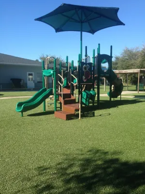 Turf Pro Synthetics, LLC - Landscape Construction in Land O' Lakes, FL