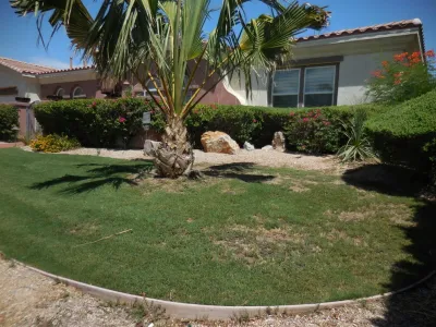 Turf Pros Direct - Drought-Resistant Lawn Installation in Palm Desert, CA