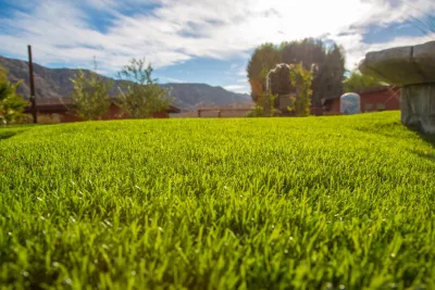 Yester Estate - Putting Green & Landscpae — Landscape Construction project by Turf Pros Direct