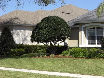 Turf Rider Lawn and Landscape - Leaf Removal & Cleanup in Atlantic Beach, FL