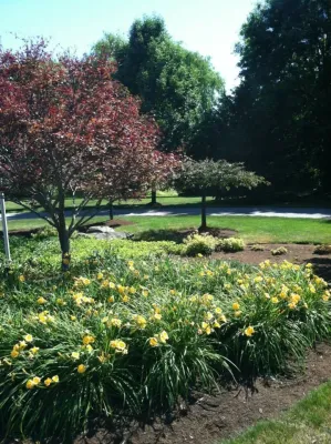 Turfscape Inc - Lawn Edging & Trimming in Akron, OH