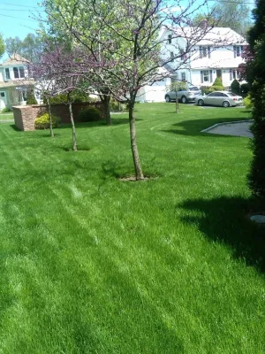 Turning Green,LLC - Tree & Shrub Care in Norwalk, CT