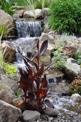 Turpin Landscape Design Build - Garden Remodeling in Coatesville, PA