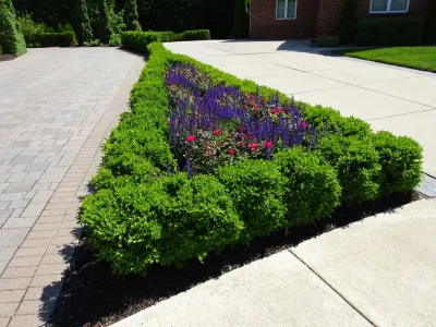 United Lawnscape & Pools - Lawn Care & Mowing in Washington Township, MI