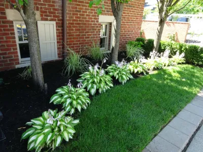 United Lawnscape & Pools - Lawn Care & Mowing in Washington Township, MI