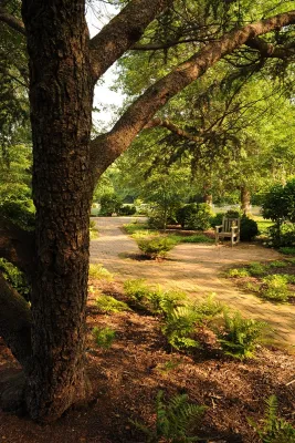 Unity Landscape Design/Build, Inc. - Sidewalk & Pathway Installation in Church Hill, MD