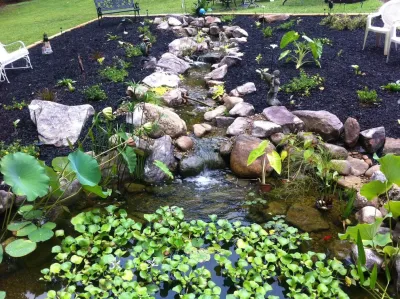 Garden and Fish Ponds Atlanta — Landscape Construction project by Universal Aquatics